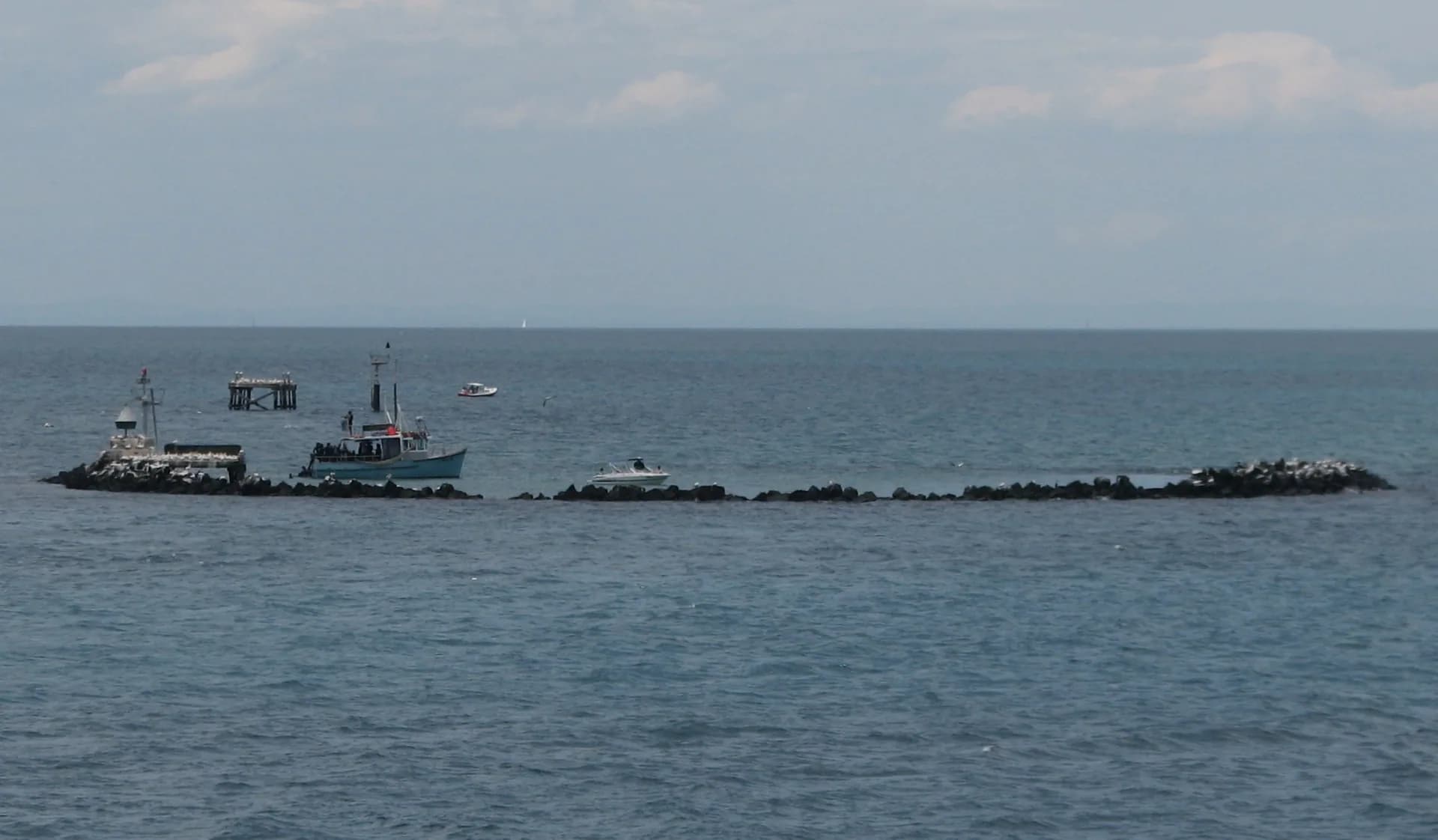 Popes Eye marine sanctuary in Port Phillip Bay, Victoria