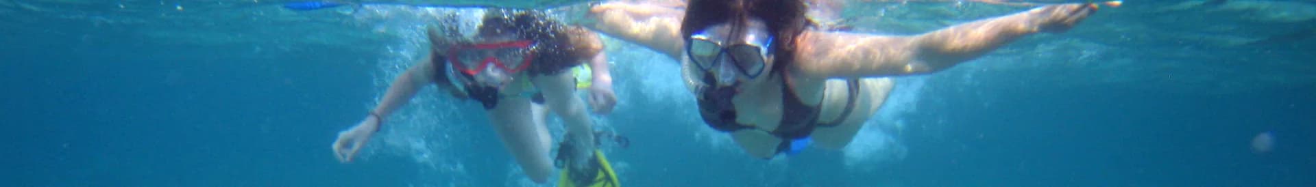 Snorkeler hovering above a shallow reef
